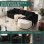 Ecksofa Boneless 243cm Modular Samt Schwarz mit Chaiselongue