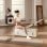 Banc de Pilates Kingsmith B2 Multifonction 5 Niveaux Resistance 150 kg
