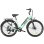 Bicicleta eléctrica HillMiles MileCity 1 Verde 26" Autonomía 100 km