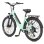 Bicicleta eléctrica HillMiles MileCity 1 Verde 26" Autonomía 100 km