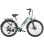 Vélo électrique HillMilES MileCity 1 Vert 26" Autonomie 100 km