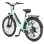 Vélo électrique HillMilES MileCity 1 Vert 26" Autonomie 100 km