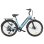 HillMiles MileCity 1 Elektrische Fiets 250 W 100 km