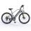 Vélo électrique HillMiles MileTrail 1 Gris 250W 36V 13Ah 25km/h 7 vitesses
