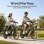 Velo electrique Mile Link HillMiles 250 W 48V 18Ah