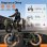 Velo Electrique HillMiles MileLink 1 250 W 48 V 120 km