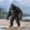 Figura Kong Skull Island Exquisite Basic Articulada 15 Cms