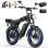 Bicicleta Eléctrica Todo Terreno Aairsk X5 20" 48V/15,6Ah