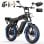 Bicicleta Eléctrica Todo Terreno Aairsk X5 20" 48V/15,6Ah