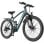 Bicicleta Eléctrica Aairsk 26 Pulgadas Motor 250W Batería 36V 13Ah 21 Velocidades Azul