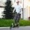 Patinete plegable Welltin doble frenado suspensión ruedas 20 cm verde