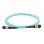 Cable fibre optique Cisco OM4 MPO 5 m multimode