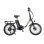 E-Bike AVDL A21S 250W Akku 36V 12,8Ah Reifen 20"