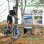 E-Bike AVDL A21S 250W Akku 36V 12,8Ah Reifen 20"
