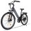 Velo electrique Avdl A32 250W 48V 26 pouces Gris