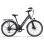 Velo electrique Avdl A32 250W 48V 26 pouces Gris