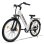 Vélo électrique AVDL A32 250W Batterie 48V 10,4Ah Pneus 26"