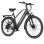 Elektrofahrrad Bekup V2 Motor 250 W Reichweite 75 km