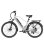 Velo electrique Bekup V2 - Moteur 250 W et Batterie 36 V 14,5 Ah