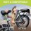 Bicicleta eléctrica plegable AVDL A10 250W 36V 12.8Ah 16"
