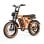 Bicicletta Elettrica PVY A20 250W 48V 20Ah All-terrain