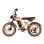 Bicicletta Elettrica PVY A20 250W 48V 20Ah All-terrain