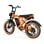 Bicicletta Elettrica PVY A20 250W 48V 20Ah All-terrain