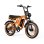 Bicicletta Elettrica PVY A20 250W 48V 20Ah All-terrain