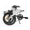 Bicicleta eletrica PVY Z20 PRO EVO 250 W 36V 14,5Ah