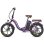 Velo Electrico FAFREES F20+ Pro com Bateria 25Ah