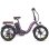 Velo Electrico FAFREES F20+ Pro com Bateria 25Ah