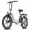 Bicicleta Eletrica FAFREES F20+ 250W