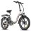 Bicicleta Eletrica FAFREES F20+ 250W