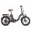 Bicicleta eléctrica plegable Fafrees F20 Pro 36V 20Ah 250W 20"