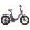 Bicicleta Eletrica Fafrees F20 Pro 250W 36V 20Ah Roxo