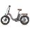 Bicicleta Elétrica Fafrees F20 Pro 250w 36v 20ah Bateria 20" Pneus Cinza