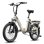 Bicicleta Eletrica Urbana Fafrees F20 Flex 250W