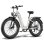Bicicleta Eléctrica Fafrees F26 Rover 250W 48V 20Ah 26"