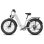Bicicleta Eléctrica Fafrees F26 Rover 250W 48V 20Ah 26"