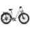 Bicicleta Eléctrica Fafrees F26 Rover 250W 48V 20Ah 26"