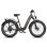 Velo electrique FAFREES F26 ROVER 250W 48V 20Ah