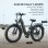 Velo electrique FAFREES F26 ROVER 250W 48V 20Ah
