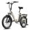 Bicicleta electrica FAFREES F20 Flex 250W 36V 25Ah