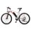 Velo electrique FAFREES 26 Hailong One 250W