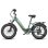 Bicicleta eletrica FAFREES F20 ROVER 250W 48V 15Ah 20 polegadas