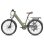 Bicicleta Elétrica Fafrees F26 Pro 250w 36v 15ah 26" Verde Urbana