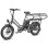 Bicicleta Elétrica Fafrees FF20 CUV Motor 250W Duas Baterias 48V 12Ah 20" Cinza