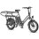 Bicicleta Elétrica Fafrees FF20 CUV Motor 250W Duas Baterias 48V 12Ah 20" Cinza