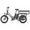 Bicicleta Elétrica Fafrees FF20 CUV Motor 250W Duas Baterias 48V 12Ah 20" Cinza