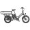 Bicicleta Elétrica Fafrees FF20 CUV Motor 250W Duas Baterias 48V 12Ah 20" Cinza